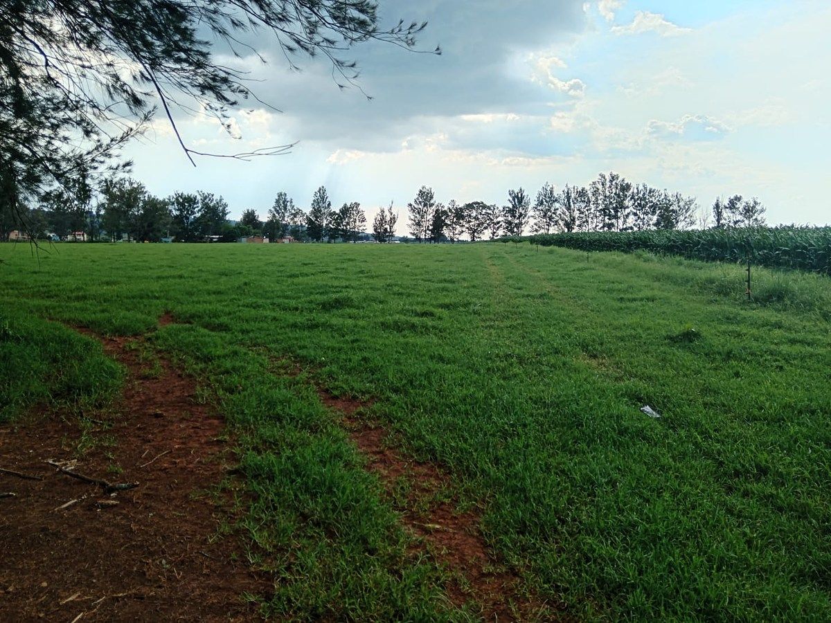 Lot in Tototlan Centro, Tototlán, photo 7 of 14