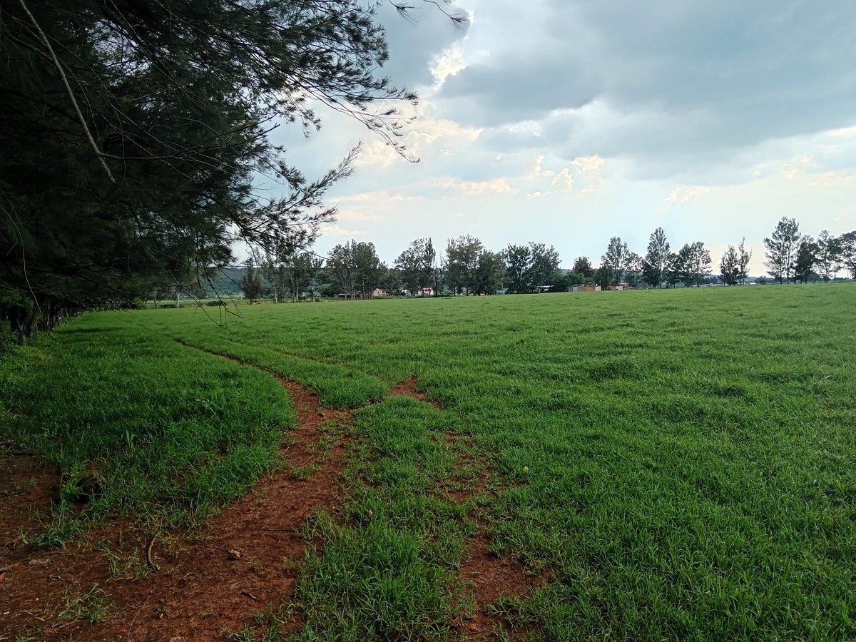 Lot in Tototlan Centro, Tototlán, photo 8 of 14