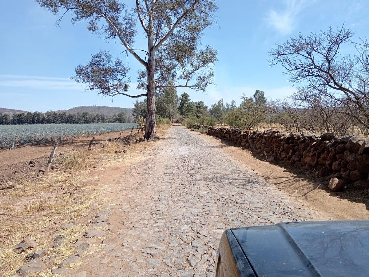 Lot in Tototlan Centro, Tototlán, photo 11 of 14