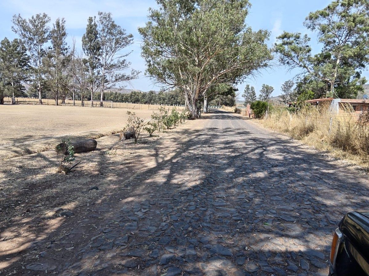 Lot in Tototlan Centro, Tototlán, photo 12 of 14
