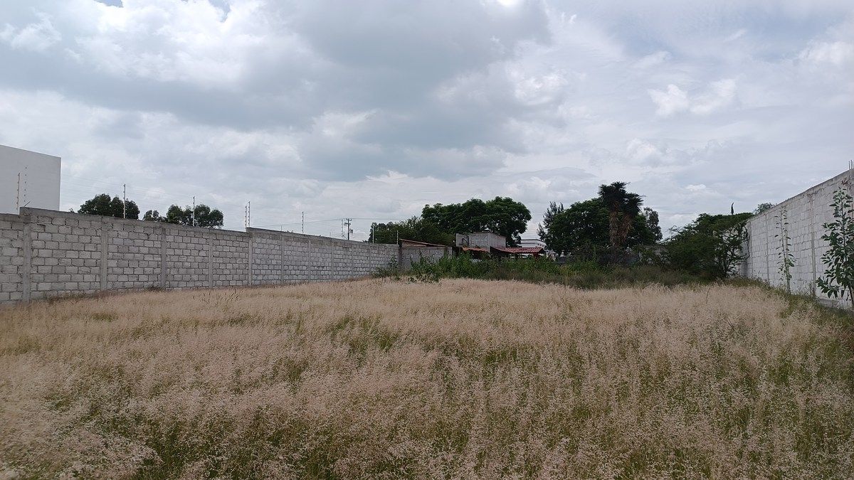 Delimitado, photo 4 of 4