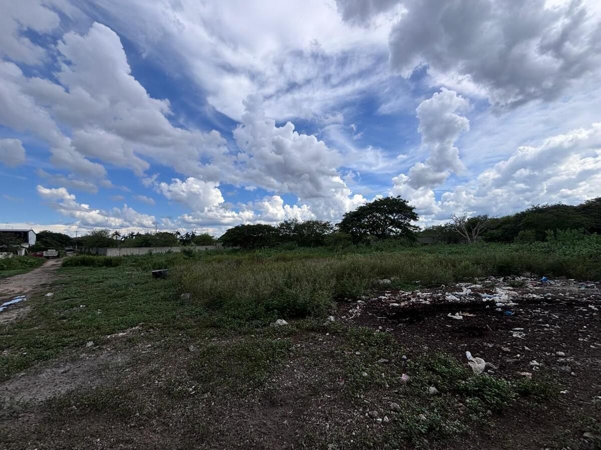 Lote em El Porvenir, Mérida, foto 4 de 12