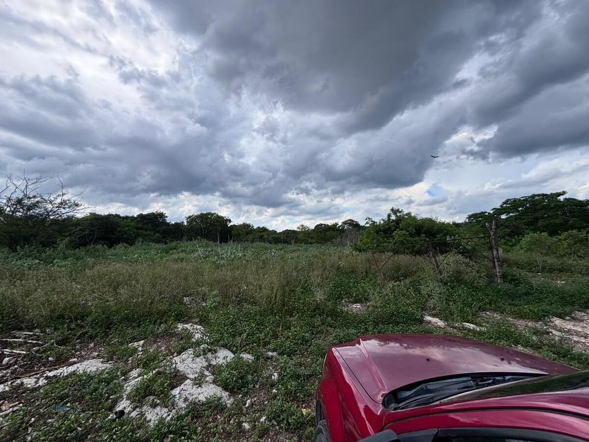 Lote em El Porvenir, Mérida, foto 6 de 12