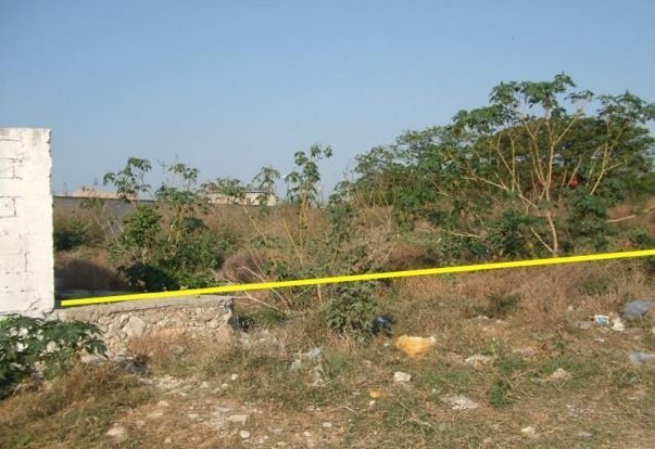 Lote em El Porvenir, Mérida, foto 10 de 12