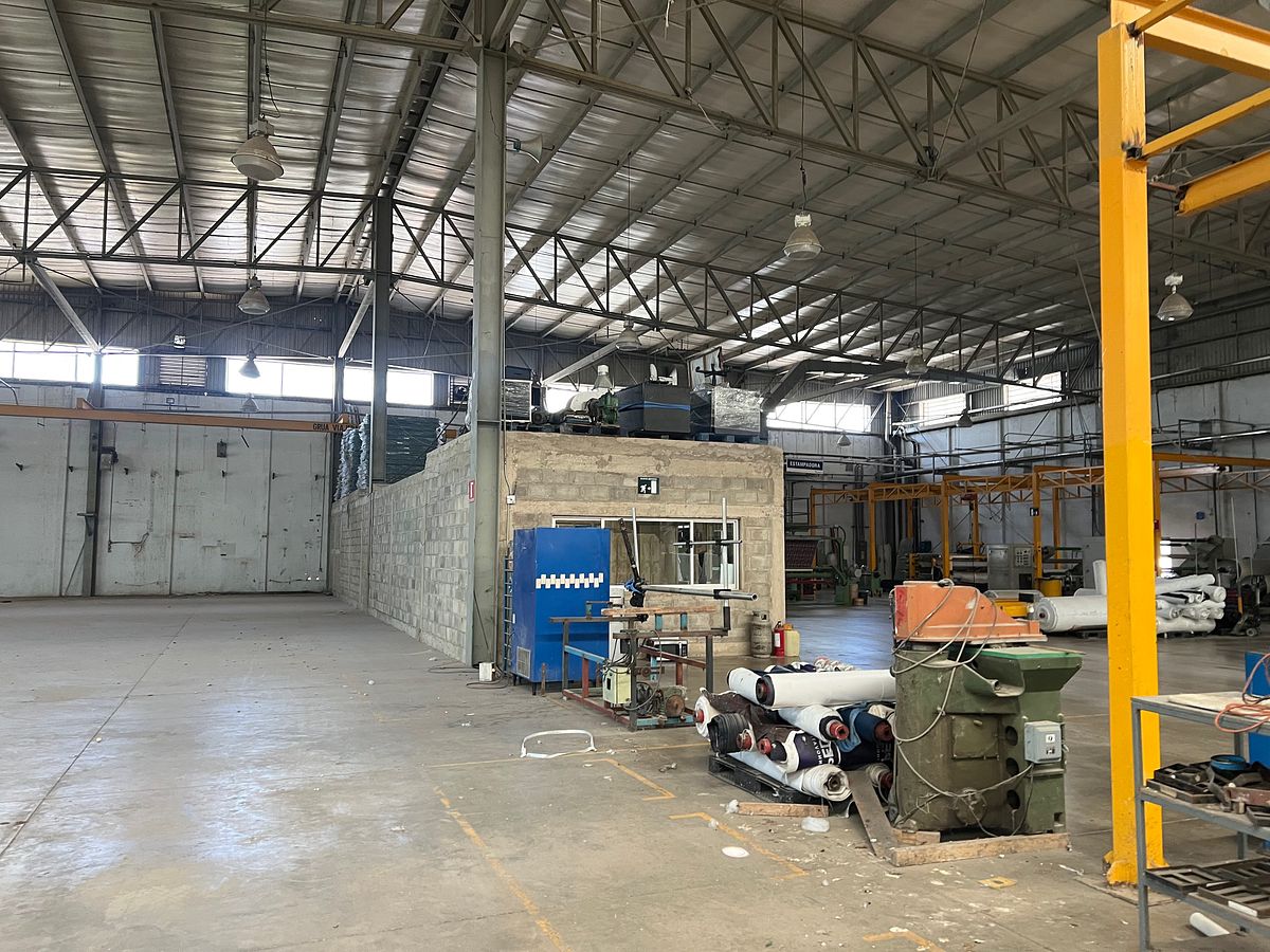 Industrial Warehouse in Parques del Castillo, El Salto, photo 8 of 19