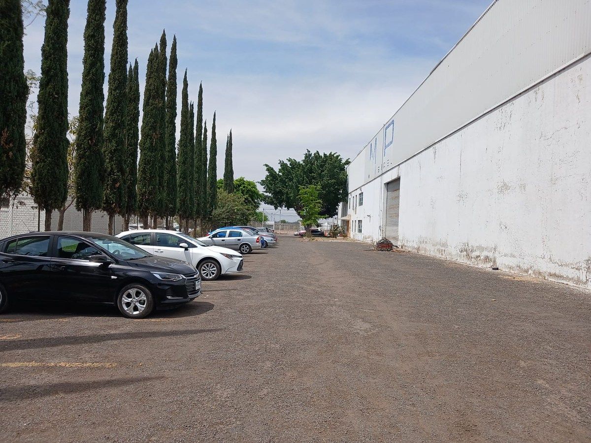 Industrial Warehouse in Parques del Castillo, El Salto, photo 18 of 19