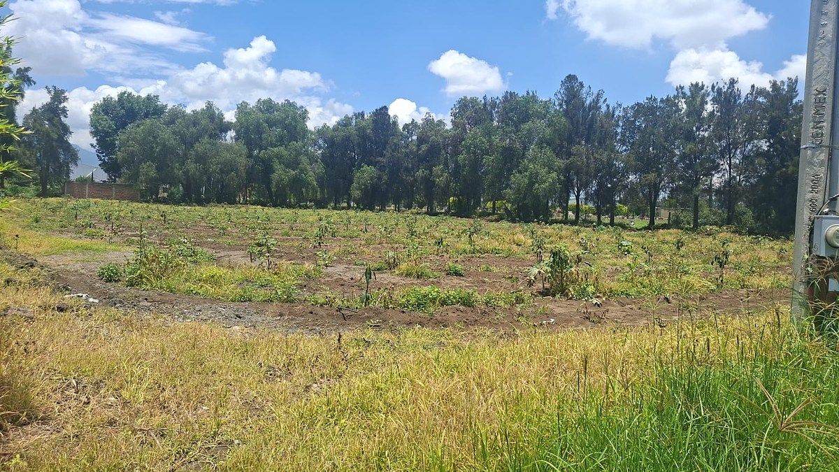 Commercial Lot in Ciudad Guzmán Centro, Zapotlán el Grande, photo 5 of 11
