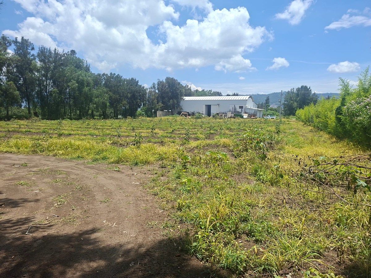 Commercial Lot in Ciudad Guzmán Centro, Zapotlán el Grande, photo 6 of 11