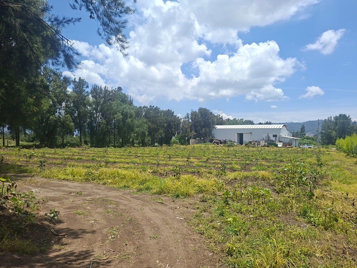 Commercial Lot in Ciudad Guzmán Centro, Zapotlán el Grande, photo 7 of 11