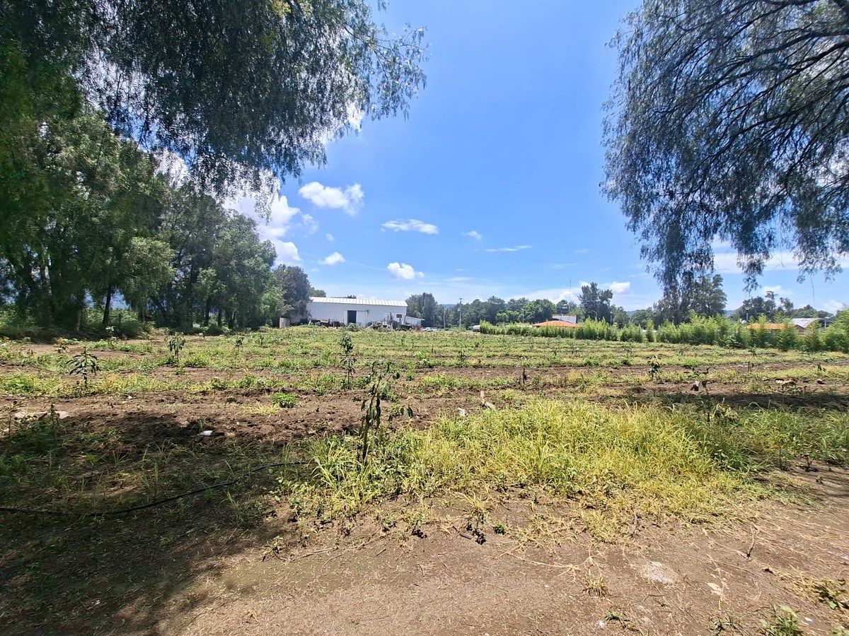 Commercial Lot in Ciudad Guzmán Centro, Zapotlán el Grande, photo 8 of 11