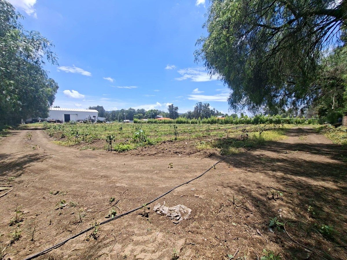 Commercial Lot in Ciudad Guzmán Centro, Zapotlán el Grande, photo 9 of 11