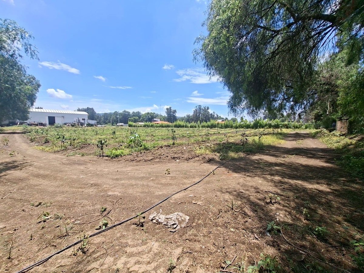 Commercial Lot in Ciudad Guzmán Centro, Zapotlán el Grande, photo 10 of 11