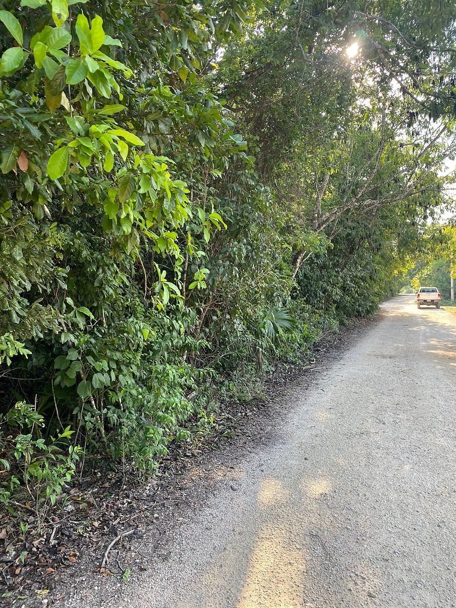 LAND FOR SALE – ÁLAMOS II, CANCÚN, photo 1 of 9