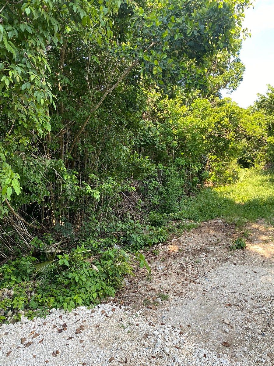 Lot in Alfredo V Bonfil, Benito Juárez, photo 3 of 9