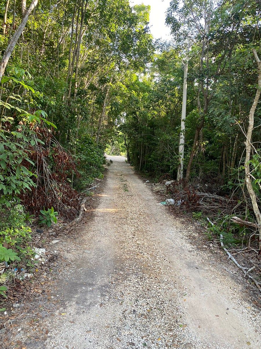 Lot in Alfredo V Bonfil, Benito Juárez, photo 7 of 9