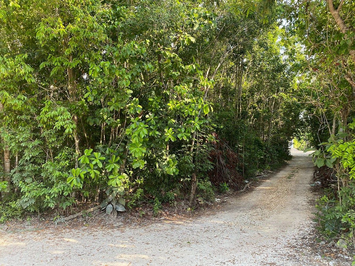Lot in Alfredo V Bonfil, Benito Juárez, photo 8 of 9