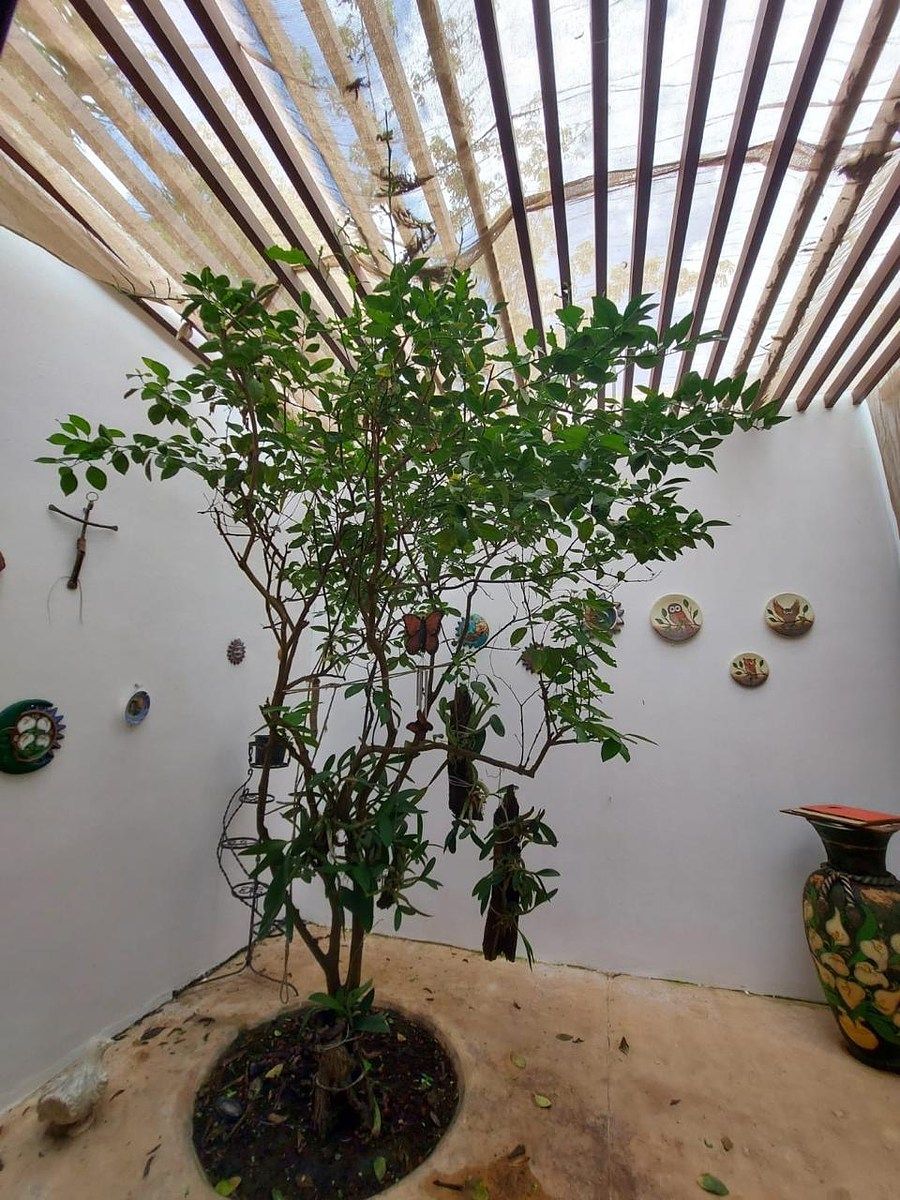 Casa en Santa Gertrudis Copo, Mérida, foto 8 de 15