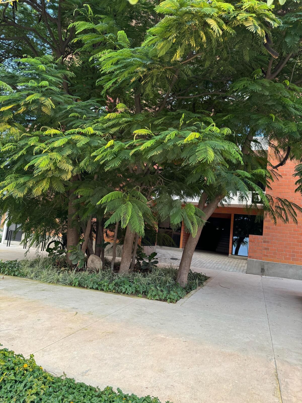 Apartamento em José López Portillo, Zapopan, foto 3 de 38