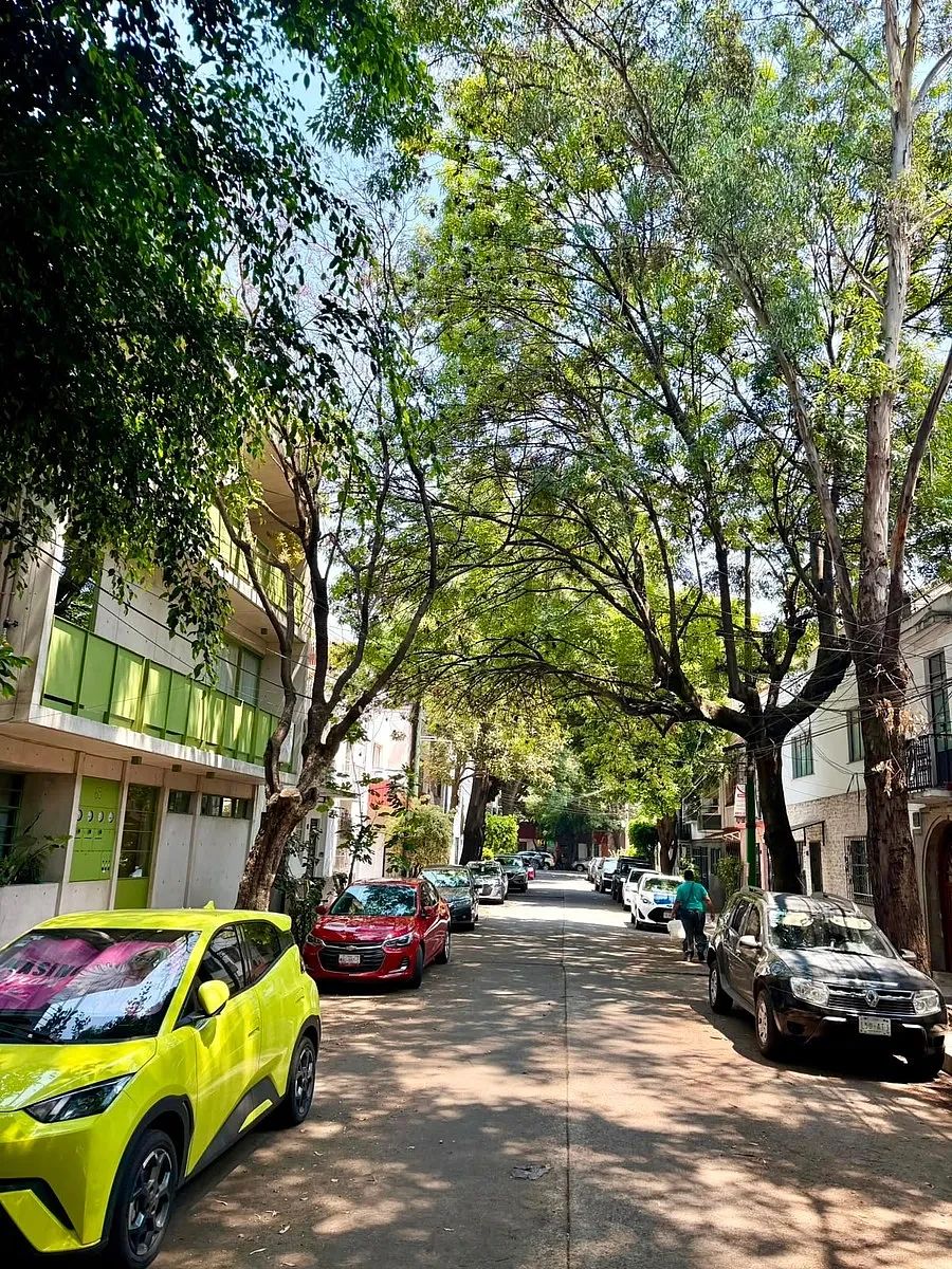 Departamento en Hipódromo Condesa, Cuauhtémoc, foto 27 de 28