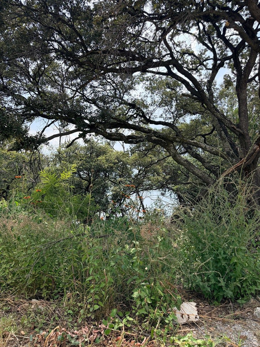 Lot in Campestre del Lago, Cuautitlán Izcalli, photo 4 of 11