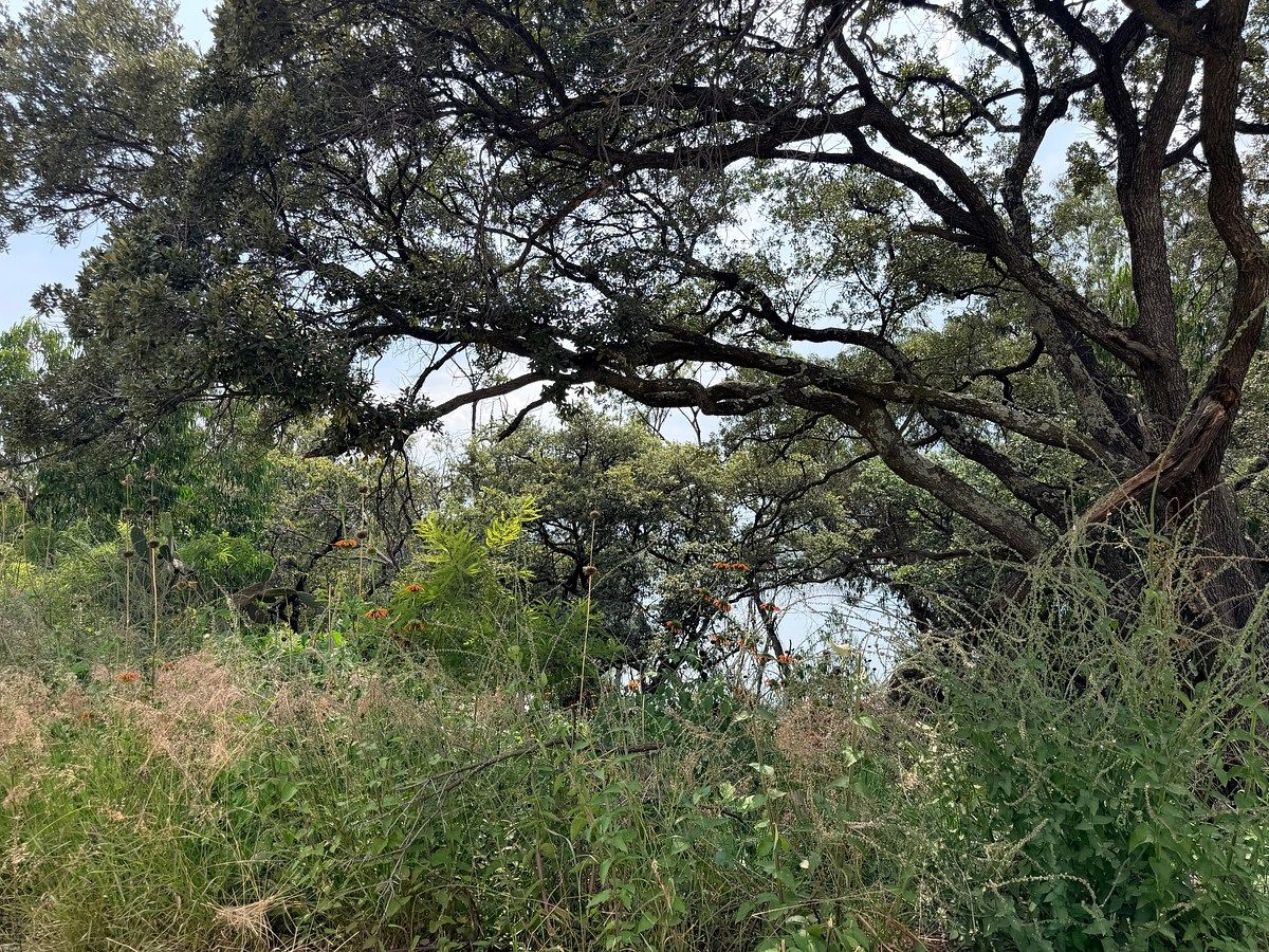 Lot in Campestre del Lago, Cuautitlán Izcalli, photo 6 of 11