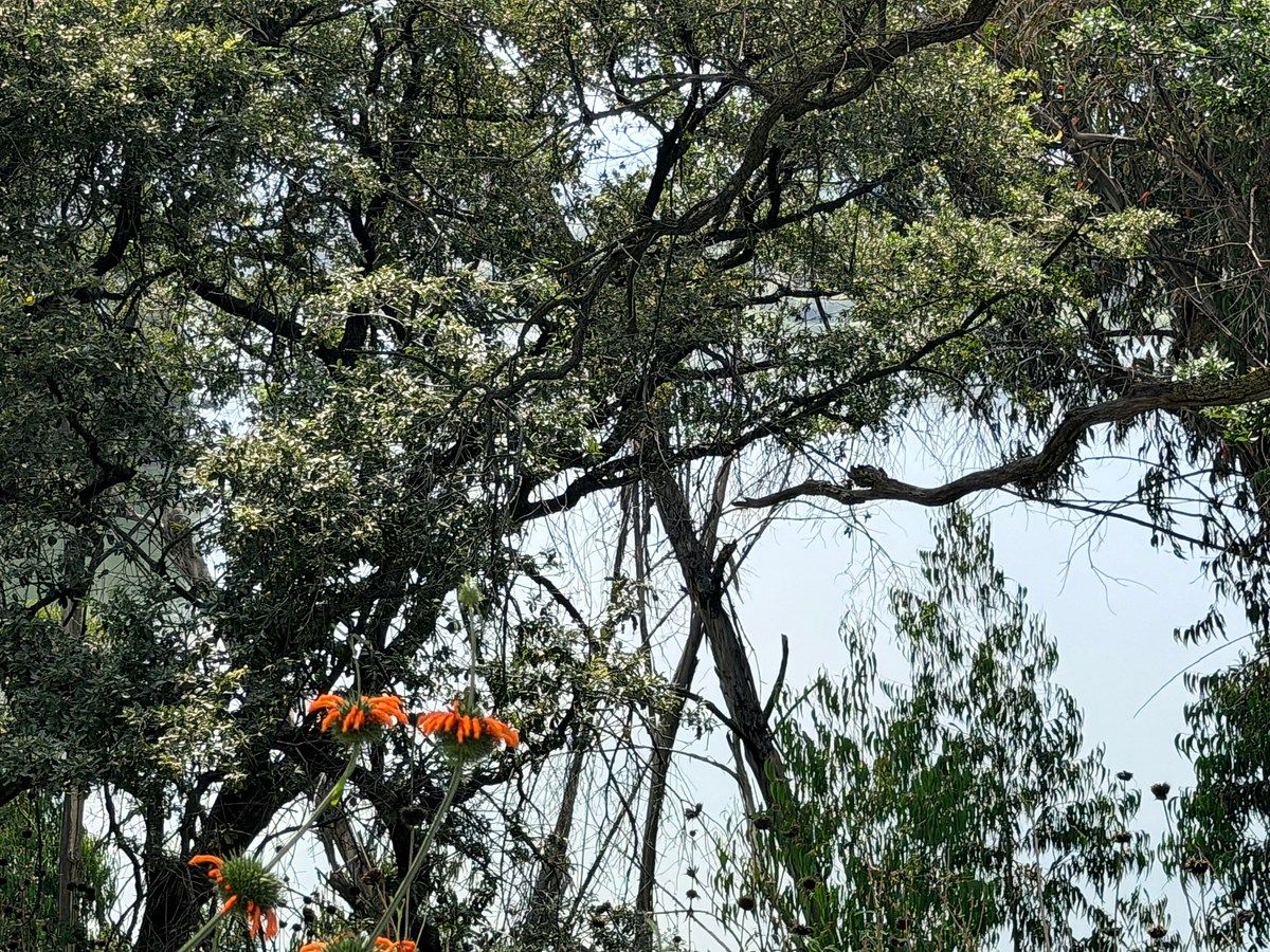Lot in Campestre del Lago, Cuautitlán Izcalli, photo 5 of 11