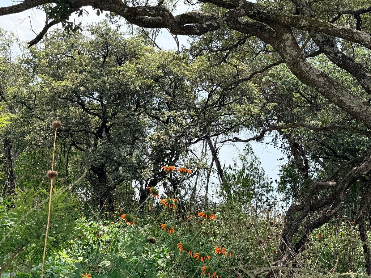 Lot in Campestre del Lago, Cuautitlán Izcalli, photo 10 of 11