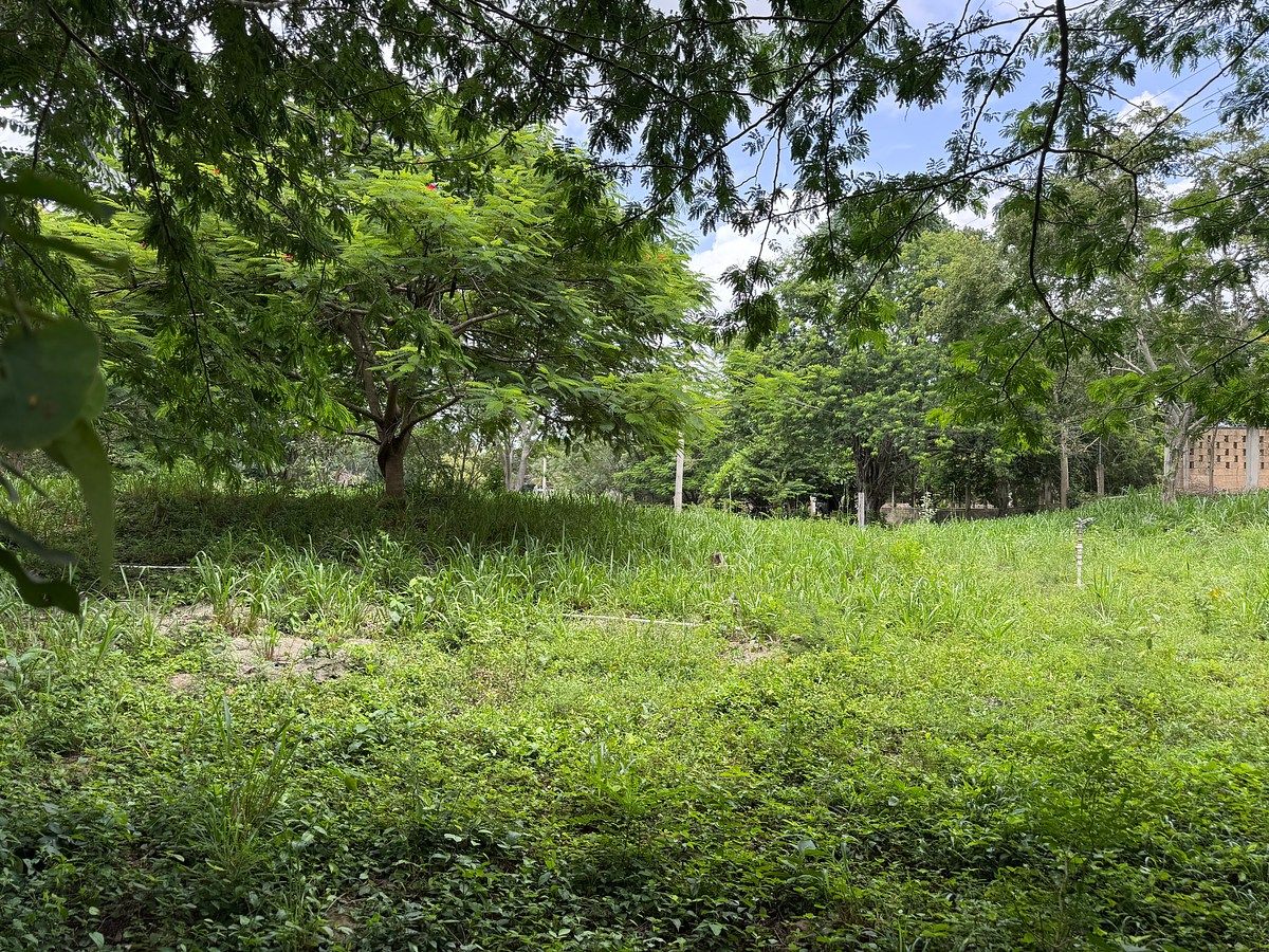 Ranch in Tahmek, Tahmek, photo 16 of 38