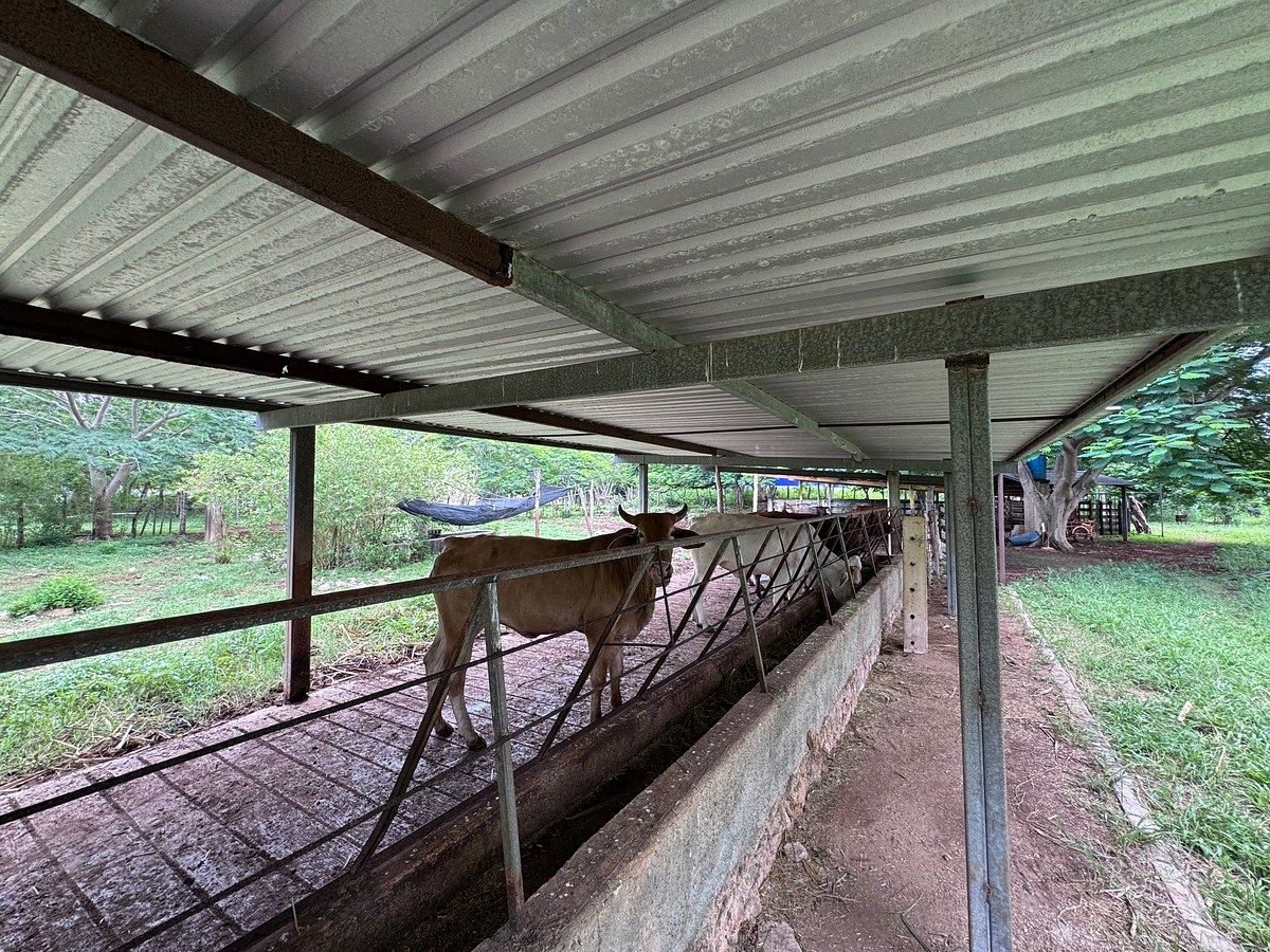 Ranch in Tahmek, Tahmek, photo 17 of 38
