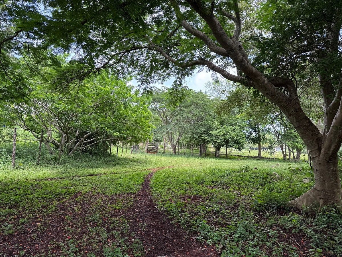 Ranch in Tahmek, Tahmek, photo 18 of 38