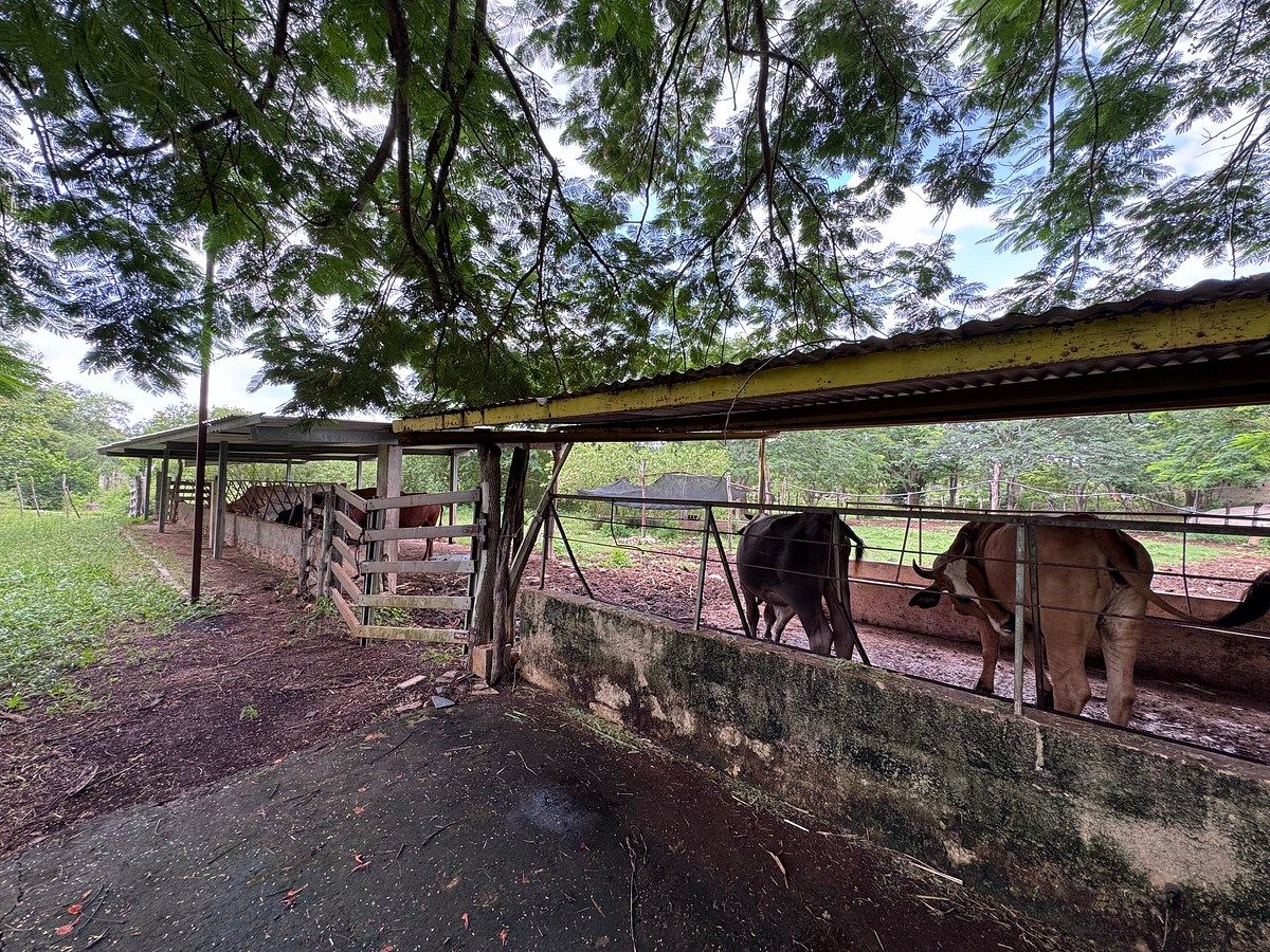 Ranch in Tahmek, Tahmek, photo 19 of 38