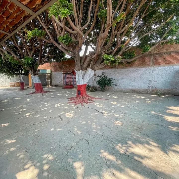 Local comercial en Potrero Nuevo, El Salto, foto 5 de 7