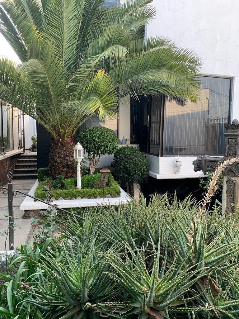 Casa em Jardines del Pedregal, Álvaro Obregón, foto 4 de 20