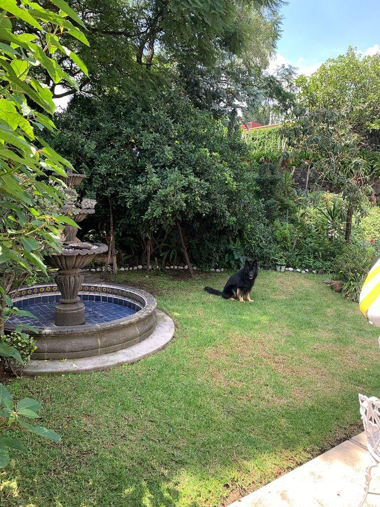 Casa em Jardines del Pedregal, Álvaro Obregón, foto 18 de 20