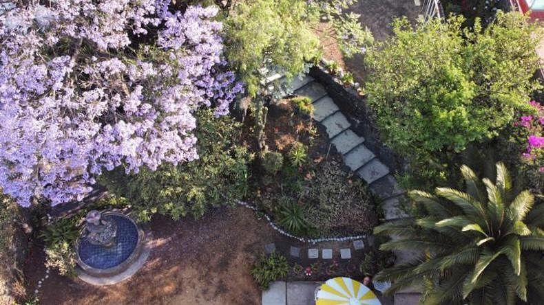 Casa em Jardines del Pedregal, Álvaro Obregón, foto 20 de 20