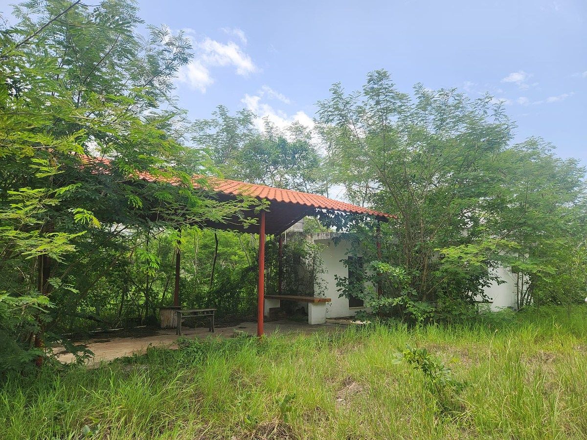 CASA PARA REMODELAR EN VENTA CON AMPLIO TERRENO EN CHICHÍ SUÁREZ, MÉRIDA, foto 1 de 7