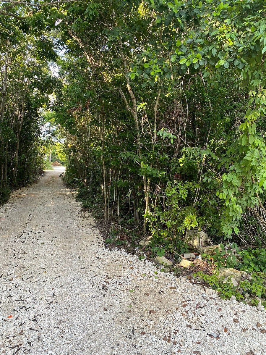 Lot in Alfredo V Bonfil, Benito Juárez, photo 2 of 9