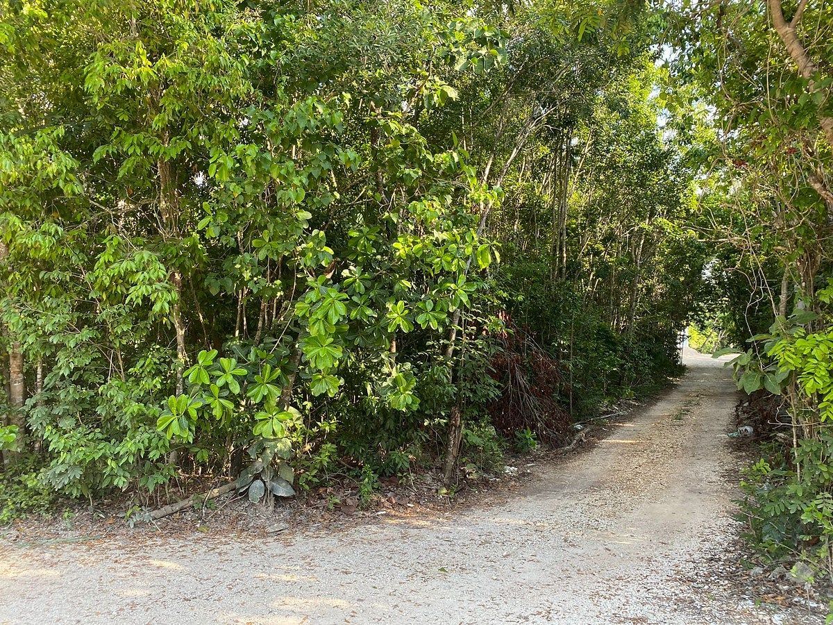 Lot in Alfredo V Bonfil, Benito Juárez, photo 8 of 9