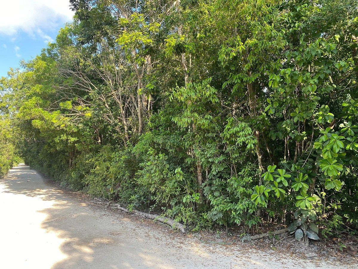 Lot in Alfredo V Bonfil, Benito Juárez, photo 9 of 9