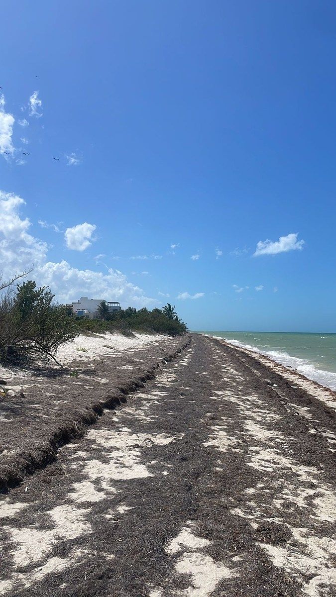 Terreno en Venta Frente al mar en San Benito Yucatan, foto 1 de 13
