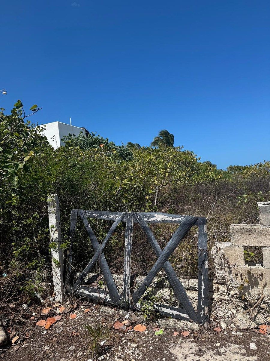 Terreno en San Benito, Dzemul, foto 6 de 13