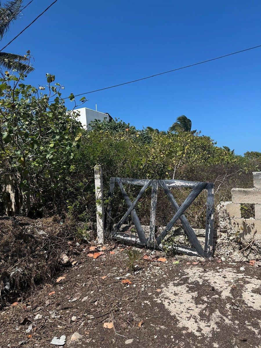 Terreno en San Benito, Dzemul, foto 7 de 13