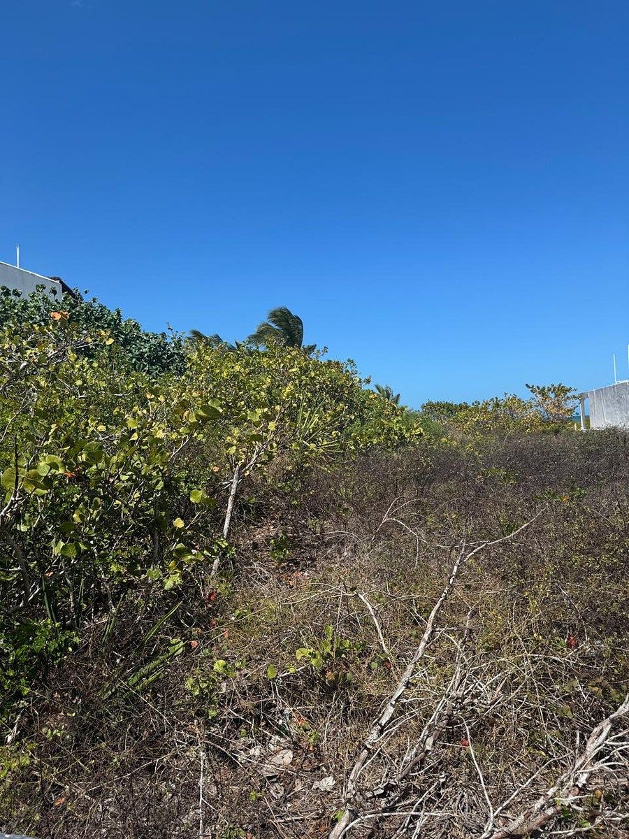 Terreno en San Benito, Dzemul, foto 8 de 13