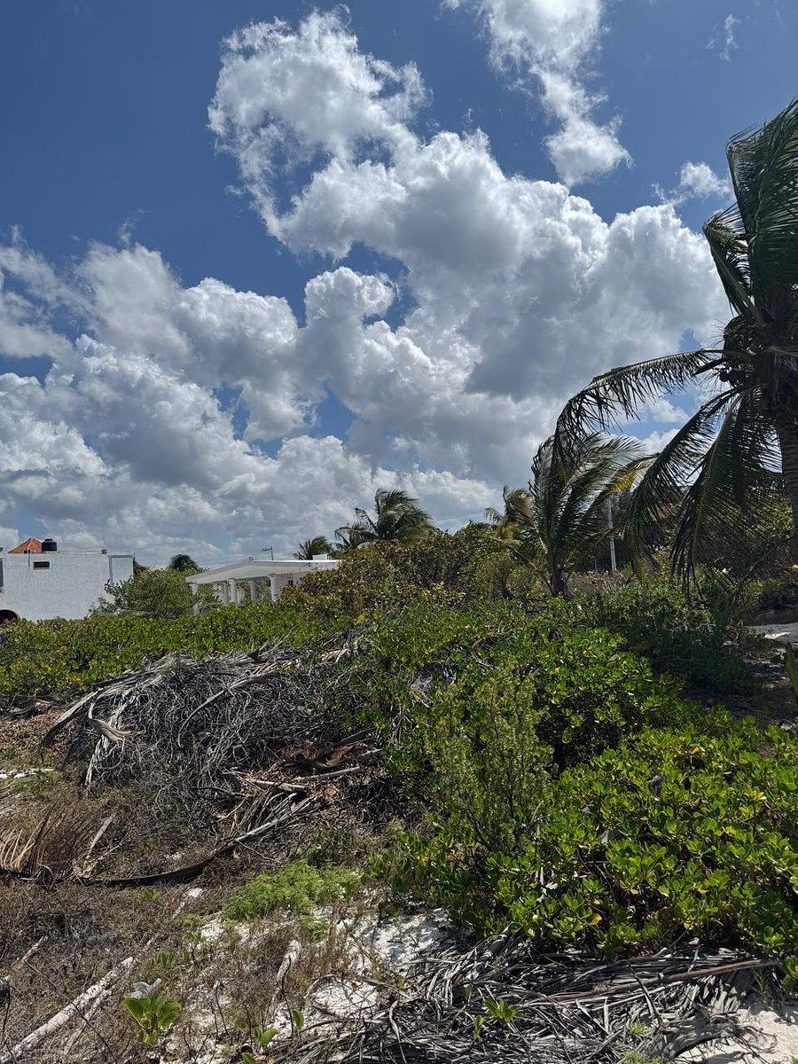 Terreno en San Benito, Dzemul, foto 10 de 13