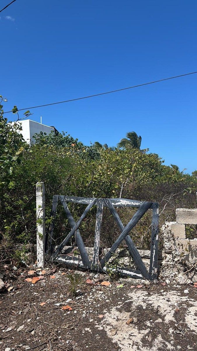 Terreno en San Benito, Dzemul, foto 11 de 13