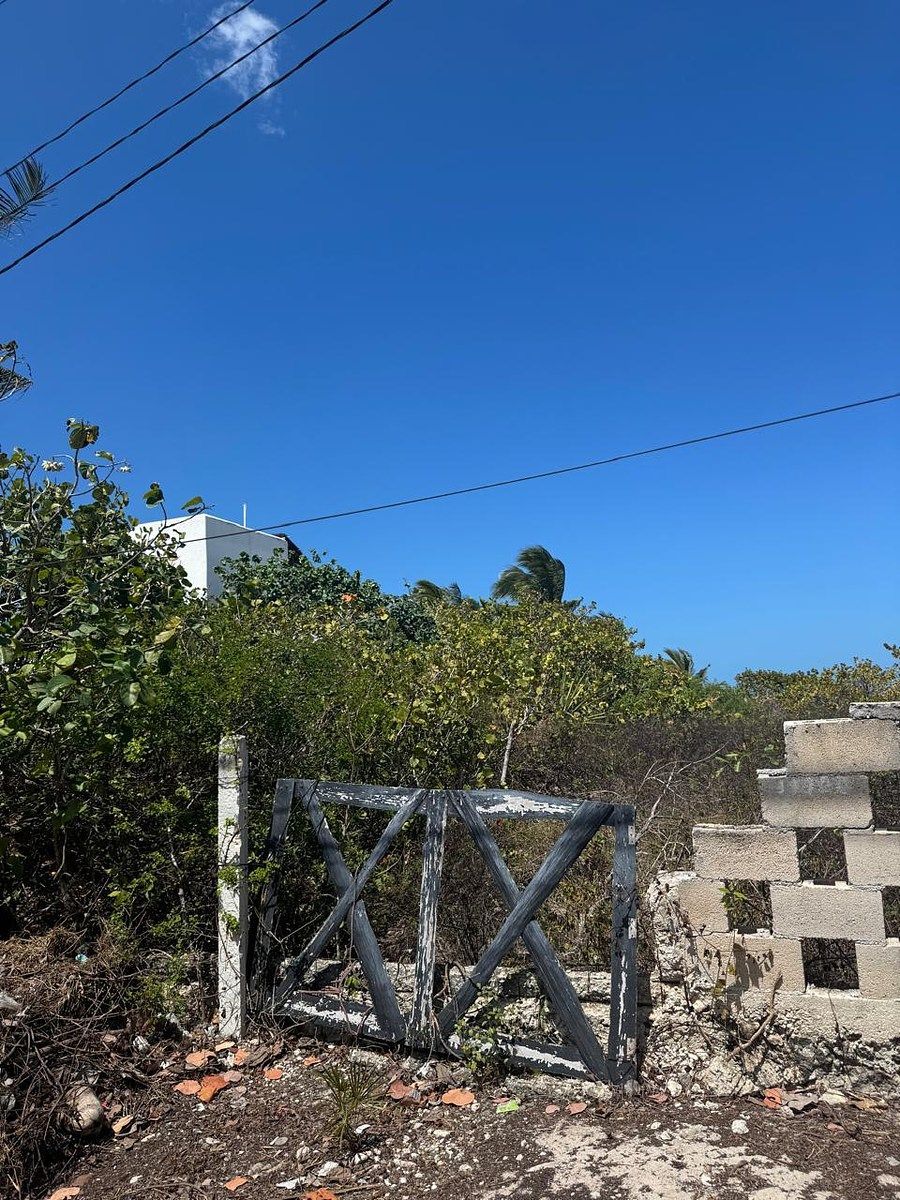 Terreno en San Benito, Dzemul, foto 13 de 13