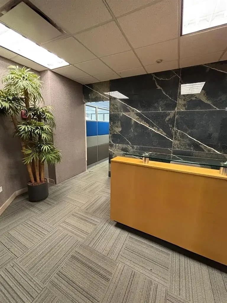 Sala Comercial em Valle Del Campestre, San Pedro Garza García, foto 6 de 13