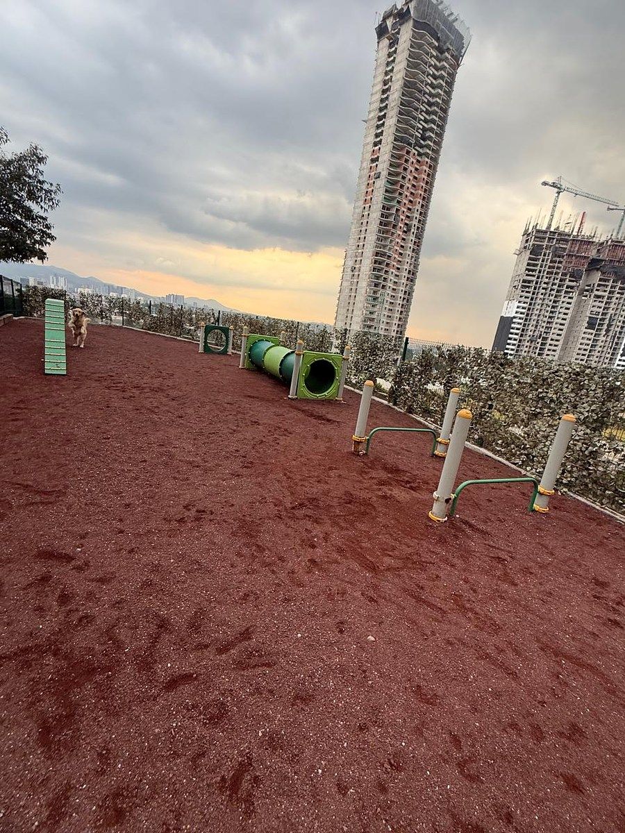 Apartamento em Lomas del Chamizal, Cuajimalpa de Morelos, foto 36 de 43