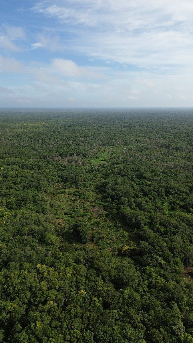 Lote em 20 de Noviembre, Campeche, foto 3 de 25