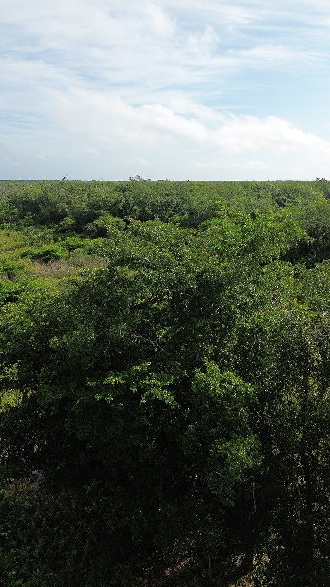 Lote em 20 de Noviembre, Campeche, foto 4 de 25